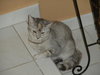 Cleo (CL)