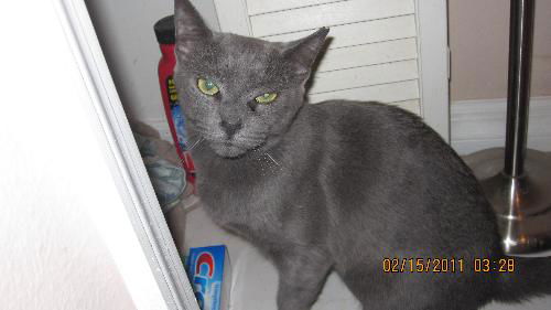 Colby (SP) 4.24.10