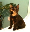 Kaylee (KC) 9.12.11