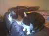 Missy (AH)