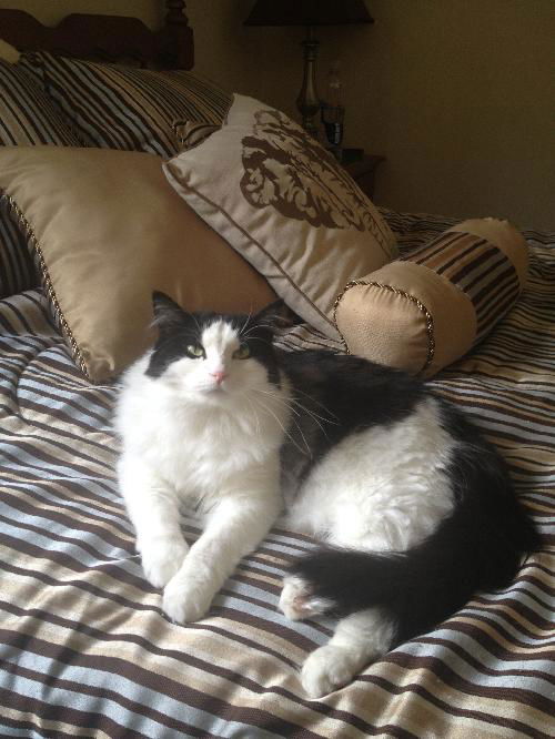 Coco Chanel(courtesy)