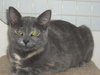 Missy (SLK) 7.14.06