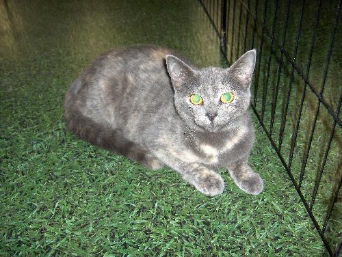 Missy (SLK) 7.14.06