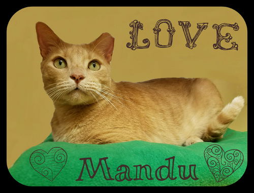 Mandu (SLK) 5.10.13