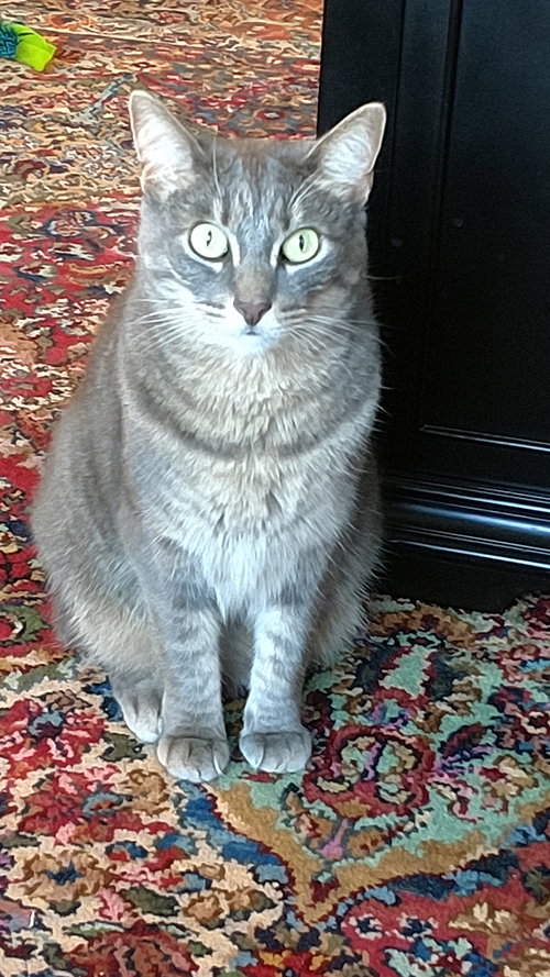 Mya 8.26.14