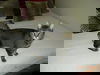 Mr. Kitty (MSC)