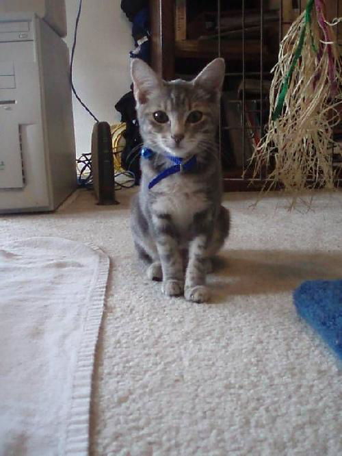Jinx 9.12.06
