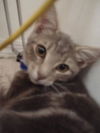 Jinx 9.12.06