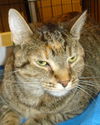 Roxy (SLK) 9.6.06