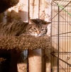 MeiMei - Photo 8