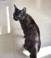 Izzy - Photo 5