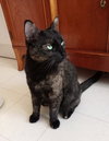 Izzy - Photo 1
