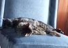 Maureen - Photo 4