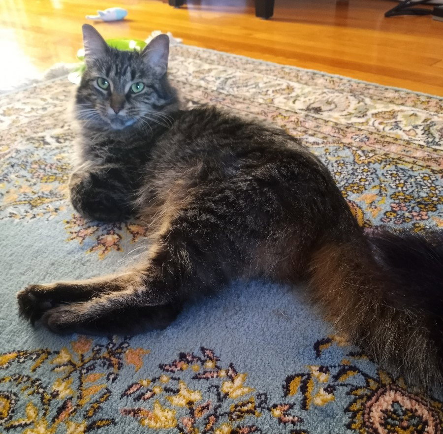 Maureen Image