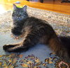 Maureen - Photo 1