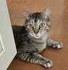 Molly - Photo 2