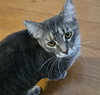 Pam - Photo 1