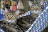 Ethel - Photo 4