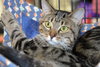 Ethel - Photo 5