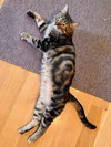Ethel - Photo 2