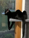 Nyx - Photo 1
