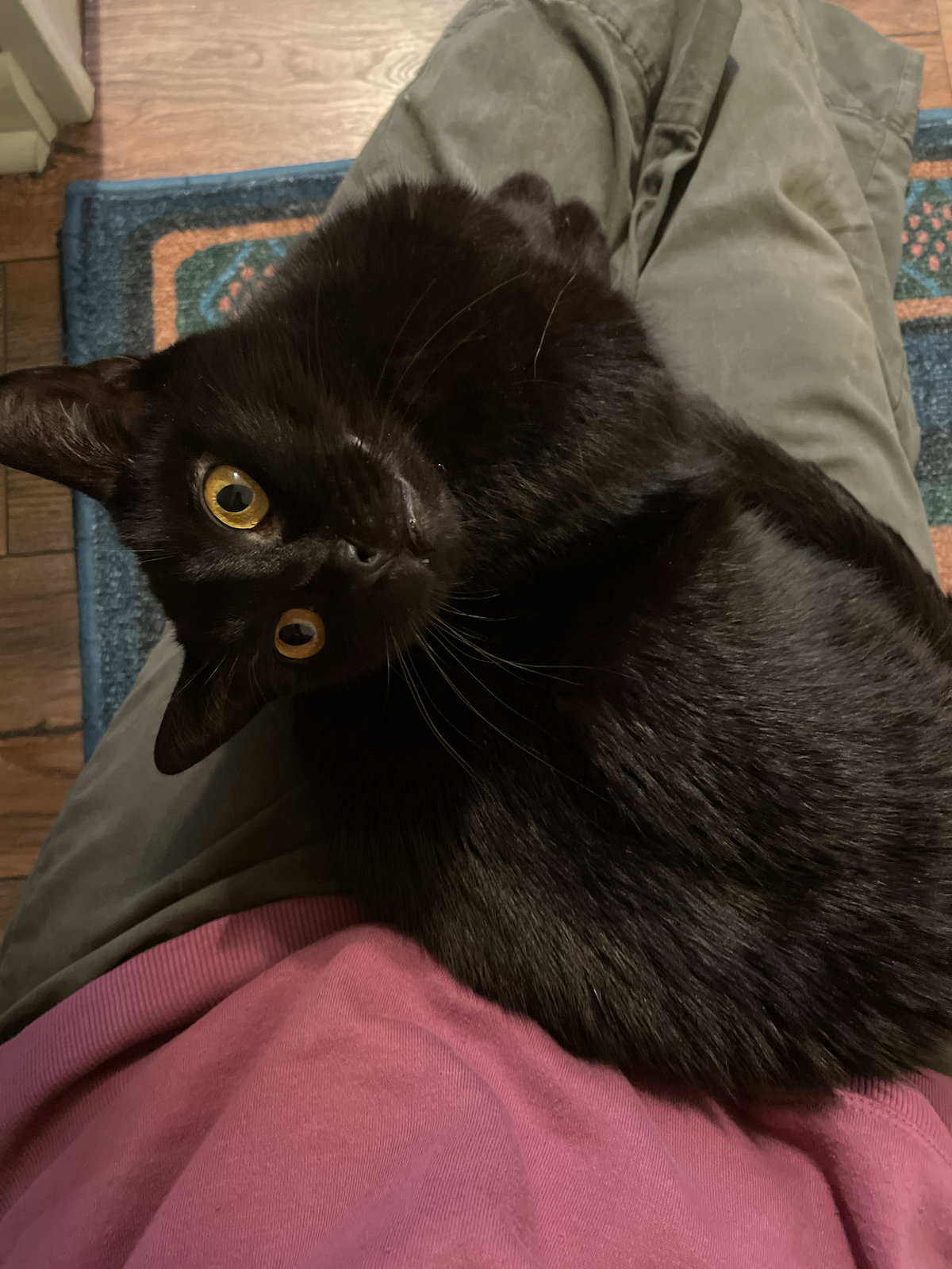 Fran Image