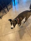 Barklee - Photo 3