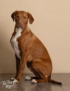 Winston - Photo 1