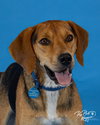 Otis - Photo 1
