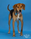 Otis - Photo 2