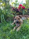 Quincy - Photo 3