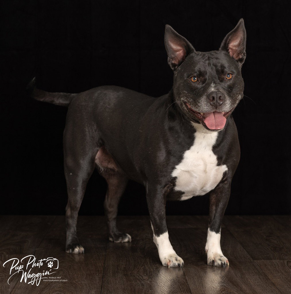 Marcy, photo 2