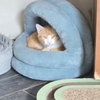 Bob - Photo 2