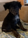 Little John - Photo 4