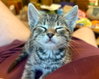 Toby - Photo 2