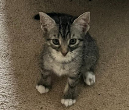Lucy photo 3