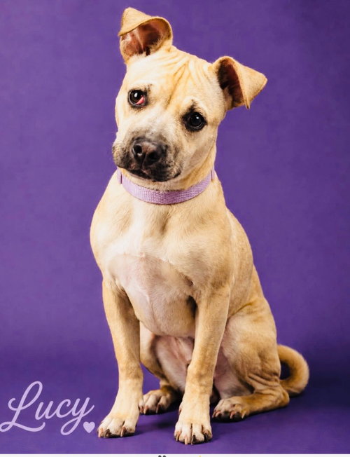 Lucy Lou
