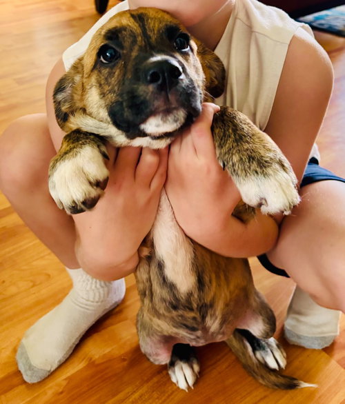 Frankie photo 2