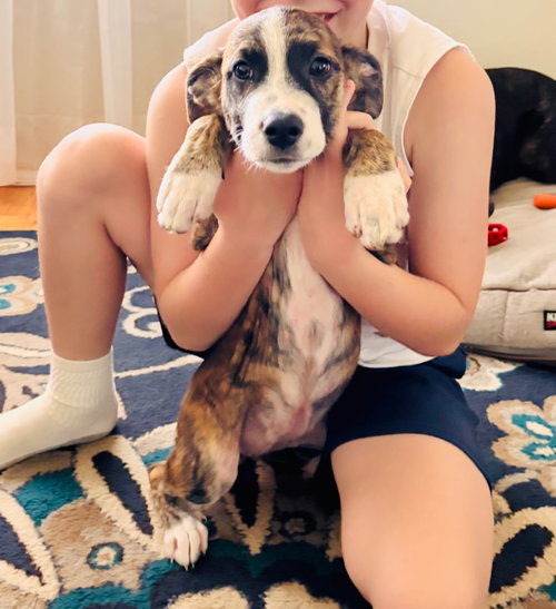 Georgia photo 2