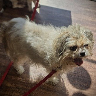 Emmy Lou photo 2