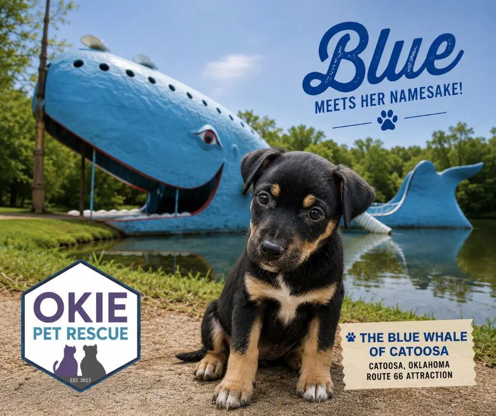 Blue - Terrier