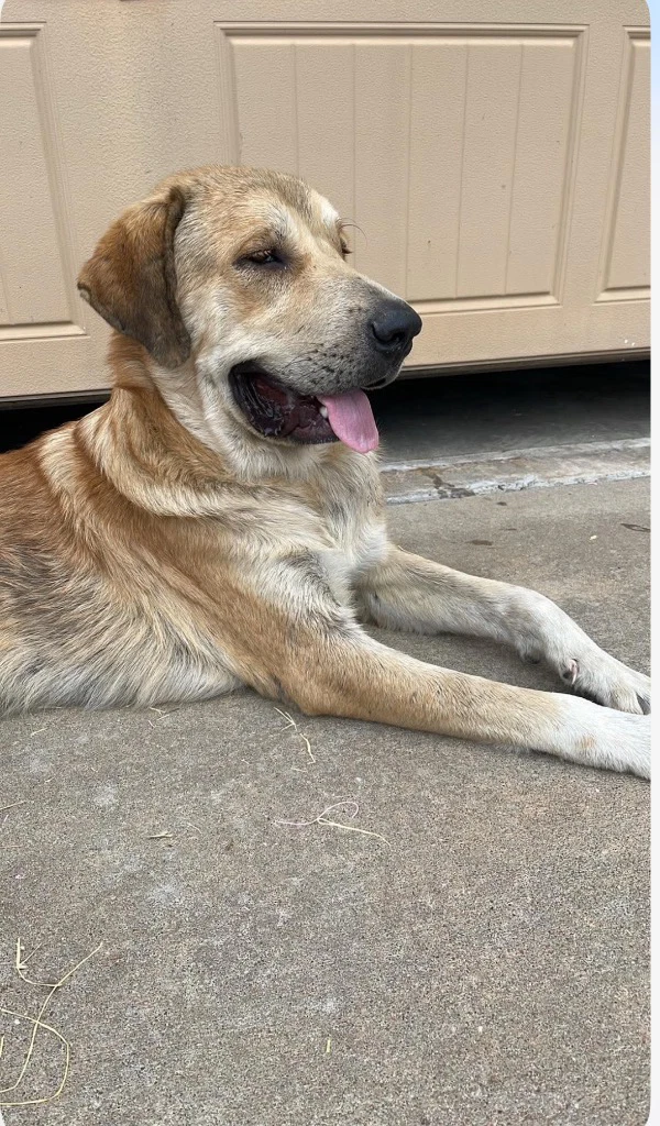 Duke