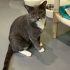 Wyatt - Photo 2