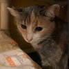 Winter - Photo 2