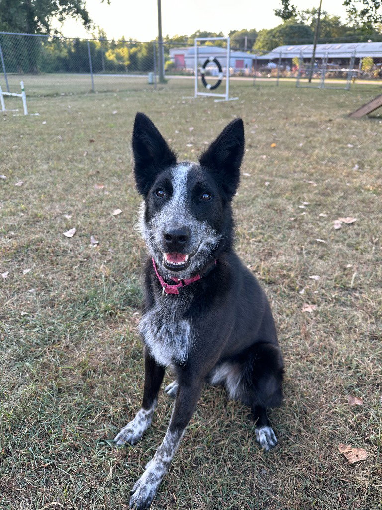 Abby Image