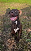 Sheriff - Photo 2