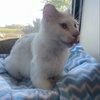 Boo - Photo 3