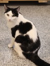 Oyster * IN FOSTER * - Photo 2
