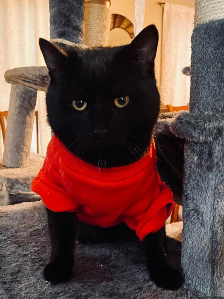 Raymond *IN FOSTER* Image