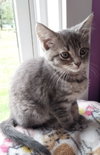 Winfrey * IN FOSTER * - Photo 2